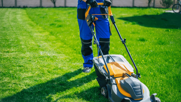 6784a45aa62ce8f6d5e14e03_Grounds _ Garden Maintenance-p-1600